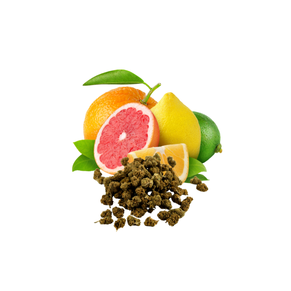 Papaya - Anti-Stress