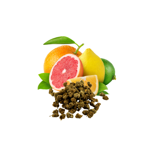 Papaya - Anti-Stress