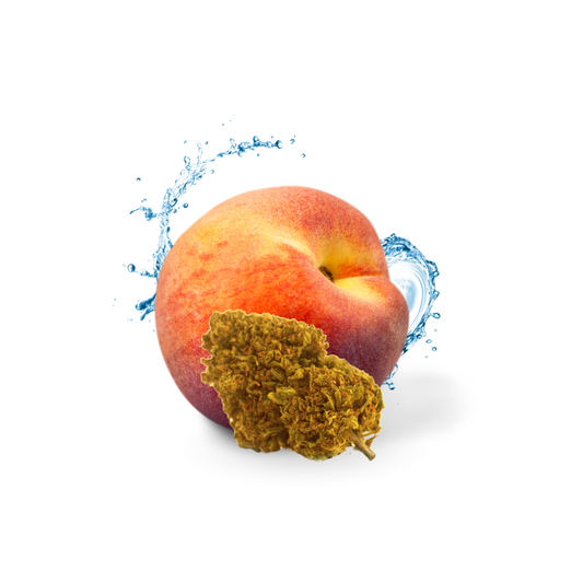 Peach Buddha - Relaxation / Sommeil